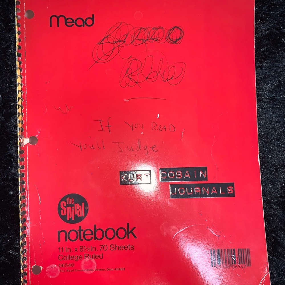 Kurt cobain book